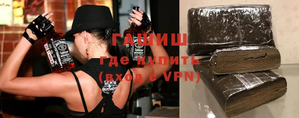 молекула духа Богданович