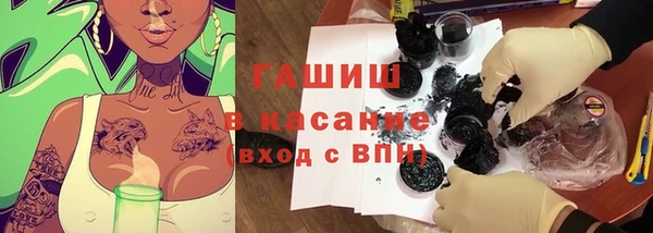 молекула духа Богданович