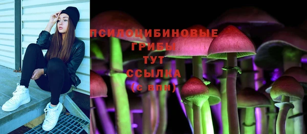 молекула духа Богданович