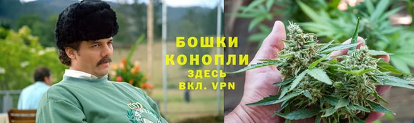 ПСИЛОЦИБИНОВЫЕ ГРИБЫ Богородицк