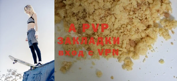 молекула духа Богданович
