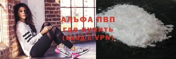 молекула духа Богданович