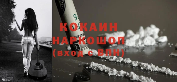 молекула духа Богданович