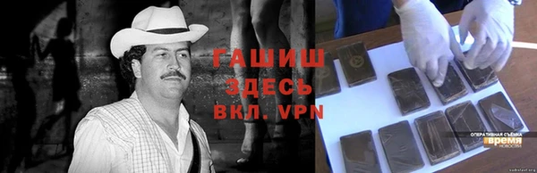 молекула духа Богданович