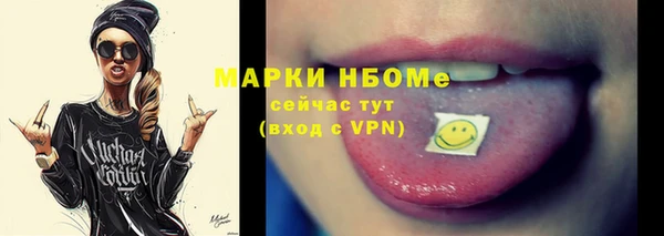 молекула духа Богданович