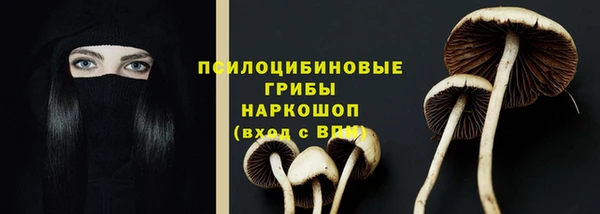 молекула духа Богданович