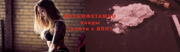 молекула духа Богданович