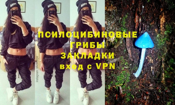 ПСИЛОЦИБИНОВЫЕ ГРИБЫ Богородицк
