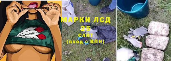 молекула духа Богданович